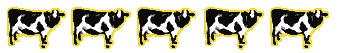 5/5 Cows
