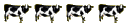 4 Cows